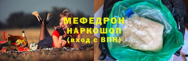 индика Гусиноозёрск