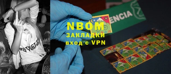 индика Гусиноозёрск