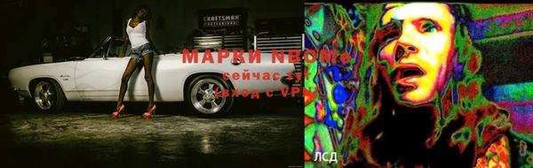 крисы Елабуга