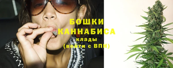 индика Гусиноозёрск