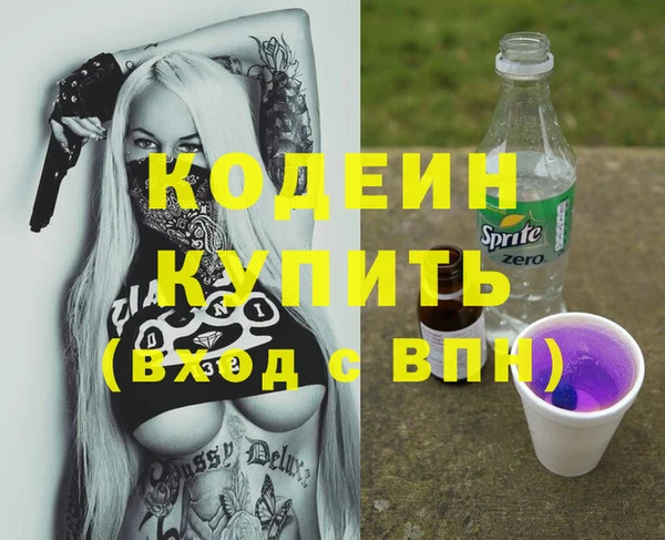 первитин Гусев