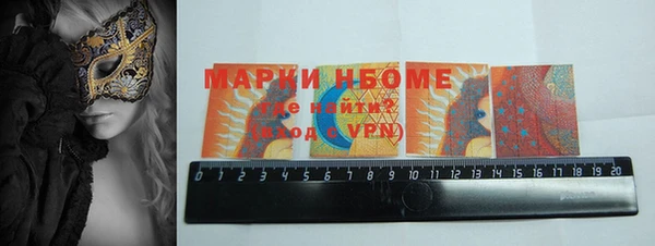 индика Гусиноозёрск