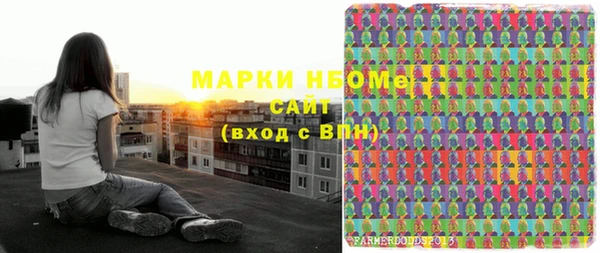 индика Гусиноозёрск