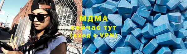 индика Гусиноозёрск