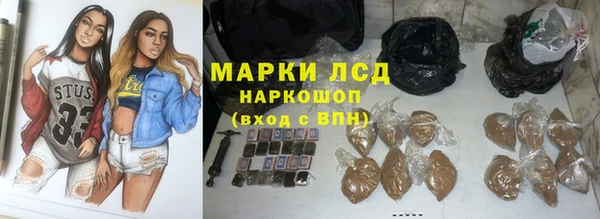 индика Гусиноозёрск