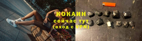 первитин Гусев