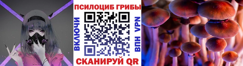 Галлюциногенные грибы Cubensis  Усть-Кут 